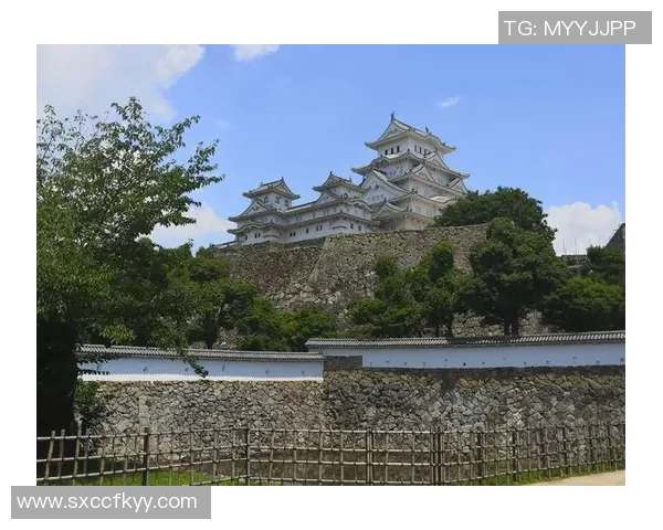 日本足球明星的城堡传说与荣耀之路探索